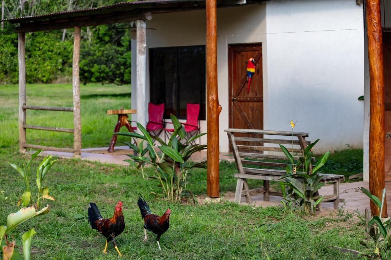 Oso De Osa Hotel Sierpe Exterior photo